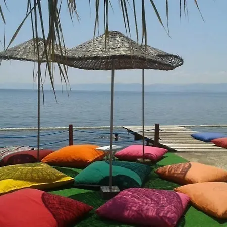 Zinos Sinop
